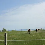 Ferienresidenz Zwei Bodden 2-9 Appartamento *