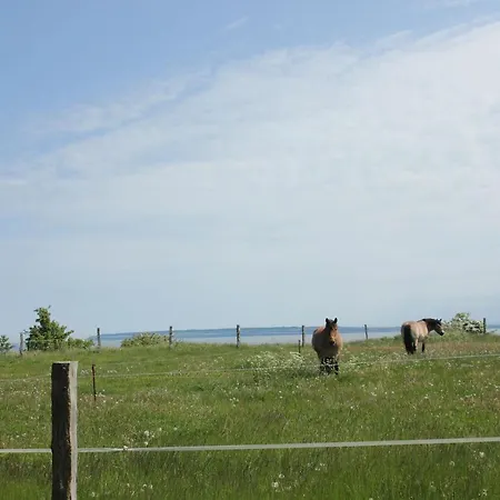 Ferienresidenz Zwei Bodden Ferienwohnung 2-9 Lejlighed *